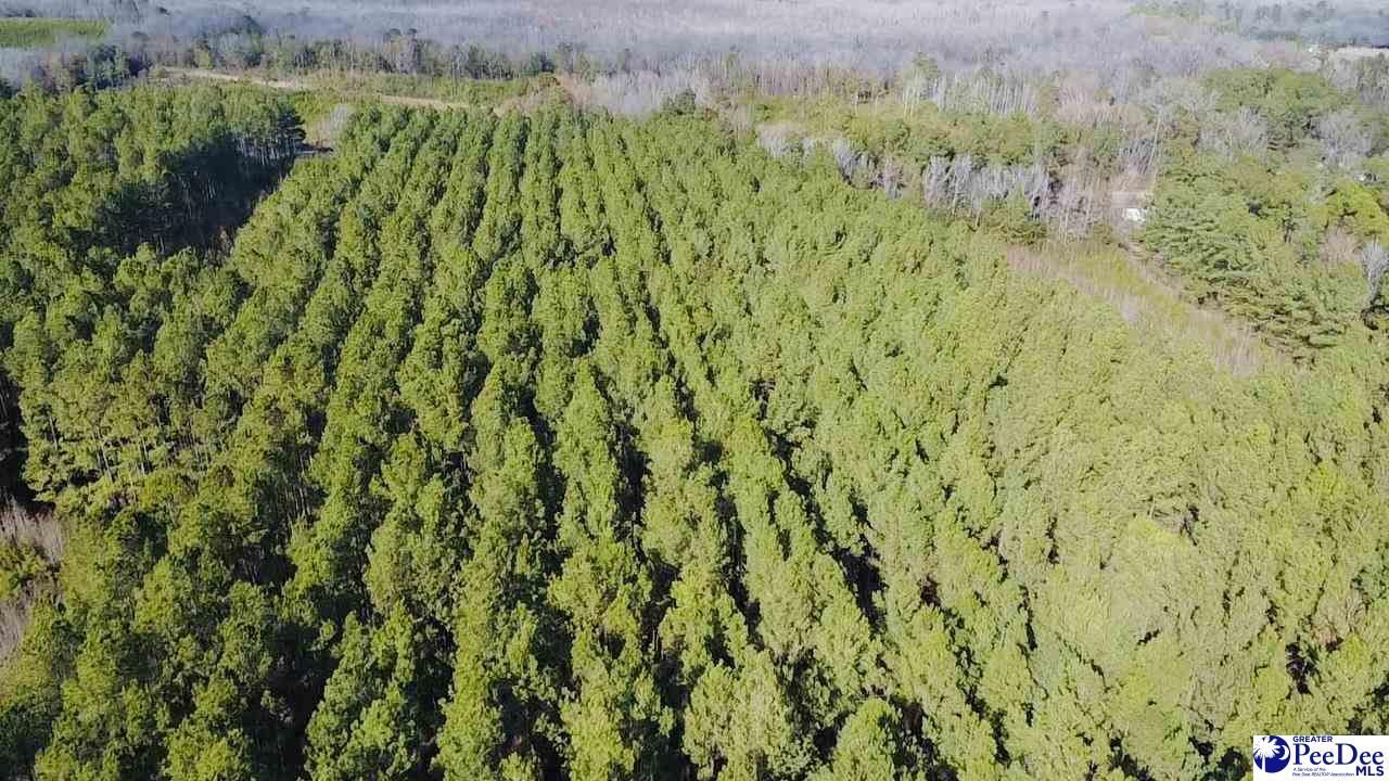 9214 Kingstree Highway Photo 7