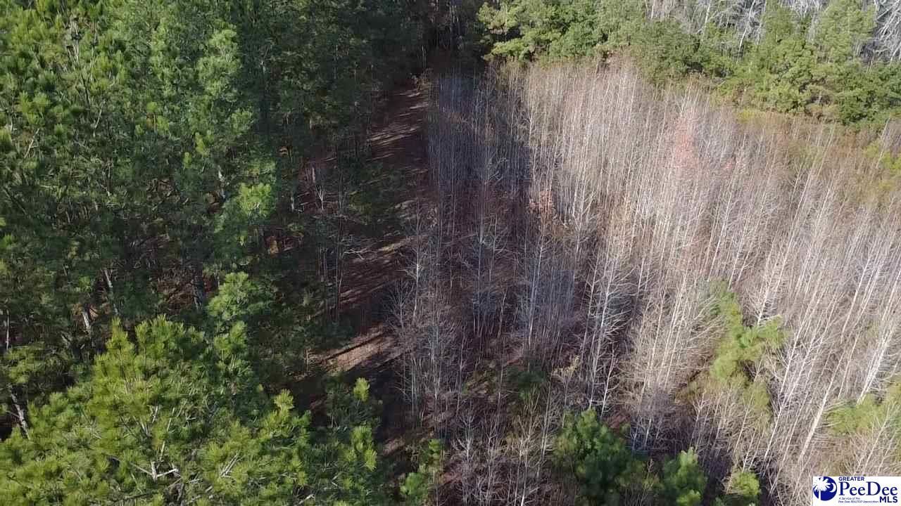 9214 Kingstree Highway Photo 8