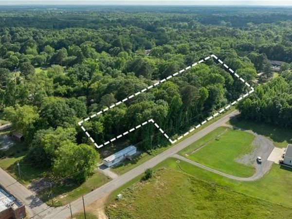 0 Jones Street, Greensboro, AL 36744