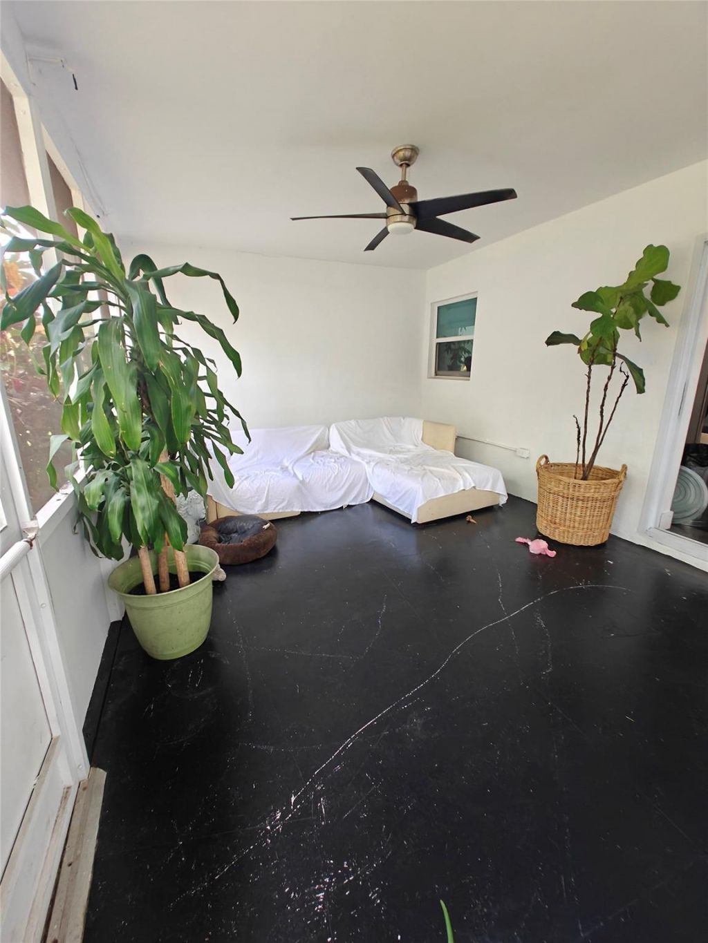 4223 Van Buren Street, Hollywood, FL 33021 Photo