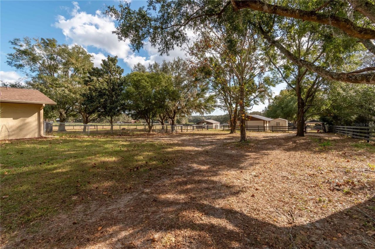 2902 Marion County Road, Weirsdale, FL 32195 Photo
