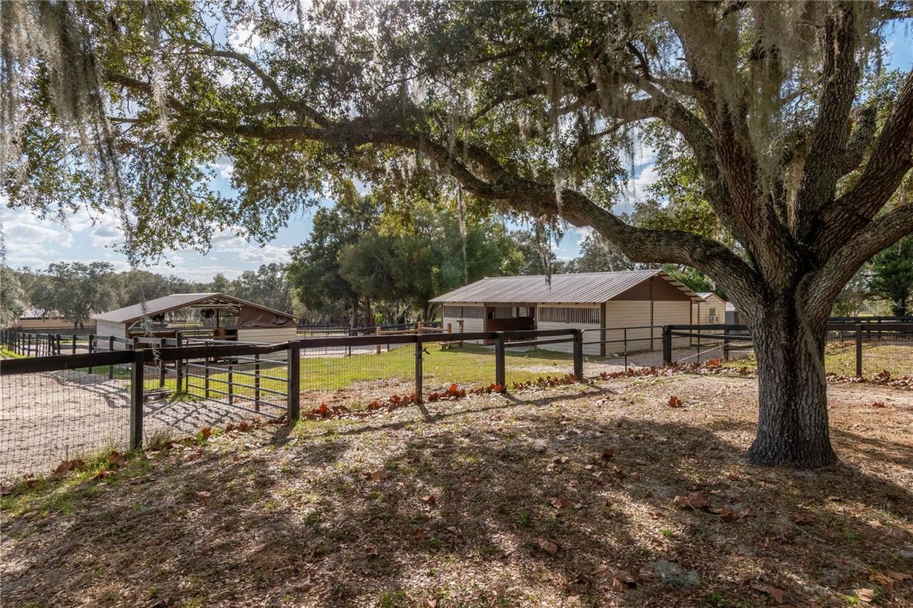 2902 Marion County Road, Weirsdale, FL 32195 Photo