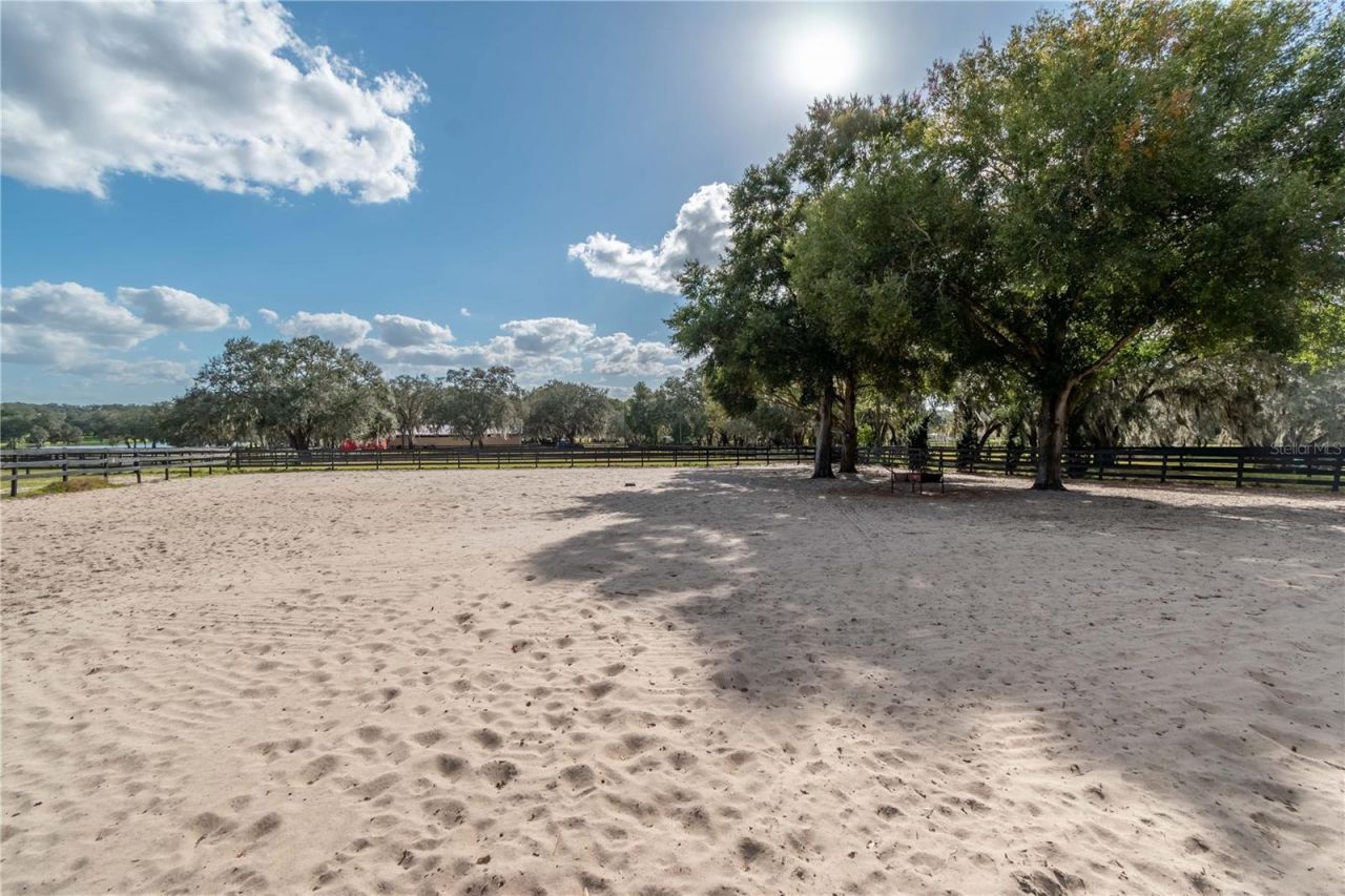 2902 Marion County Road, Weirsdale, FL 32195 Photo