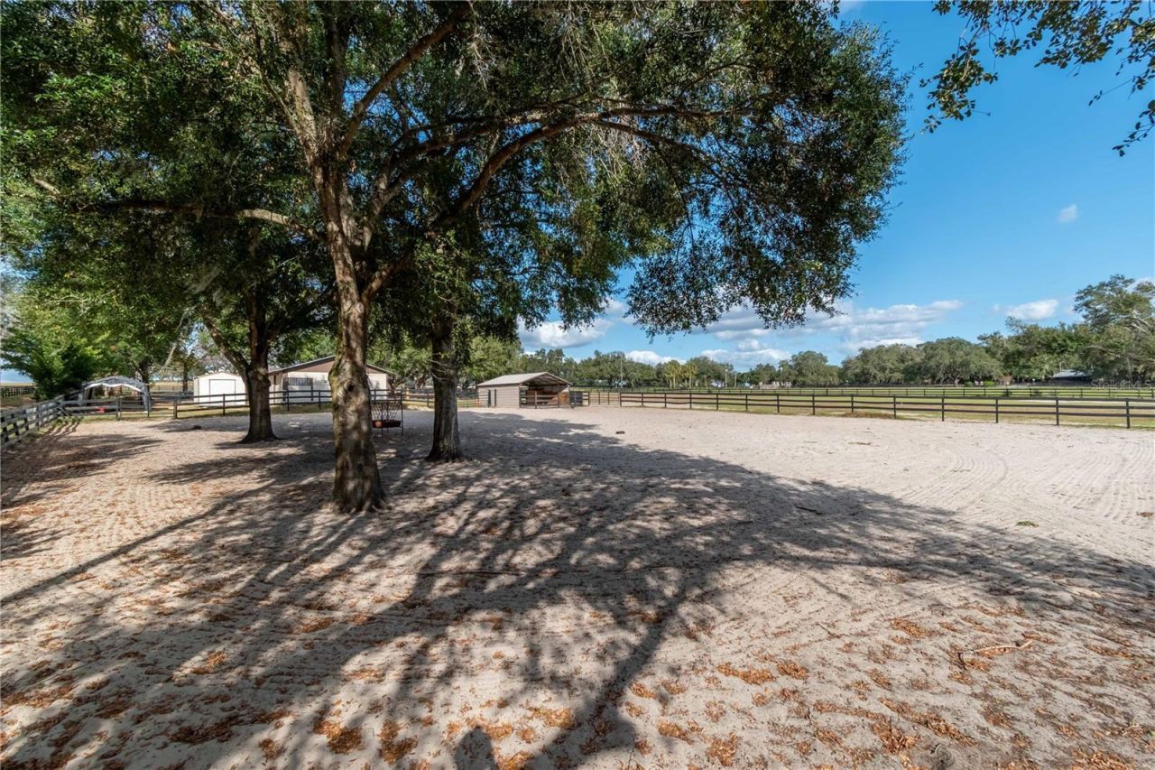 2902 Marion County Road, Weirsdale, FL 32195 Photo