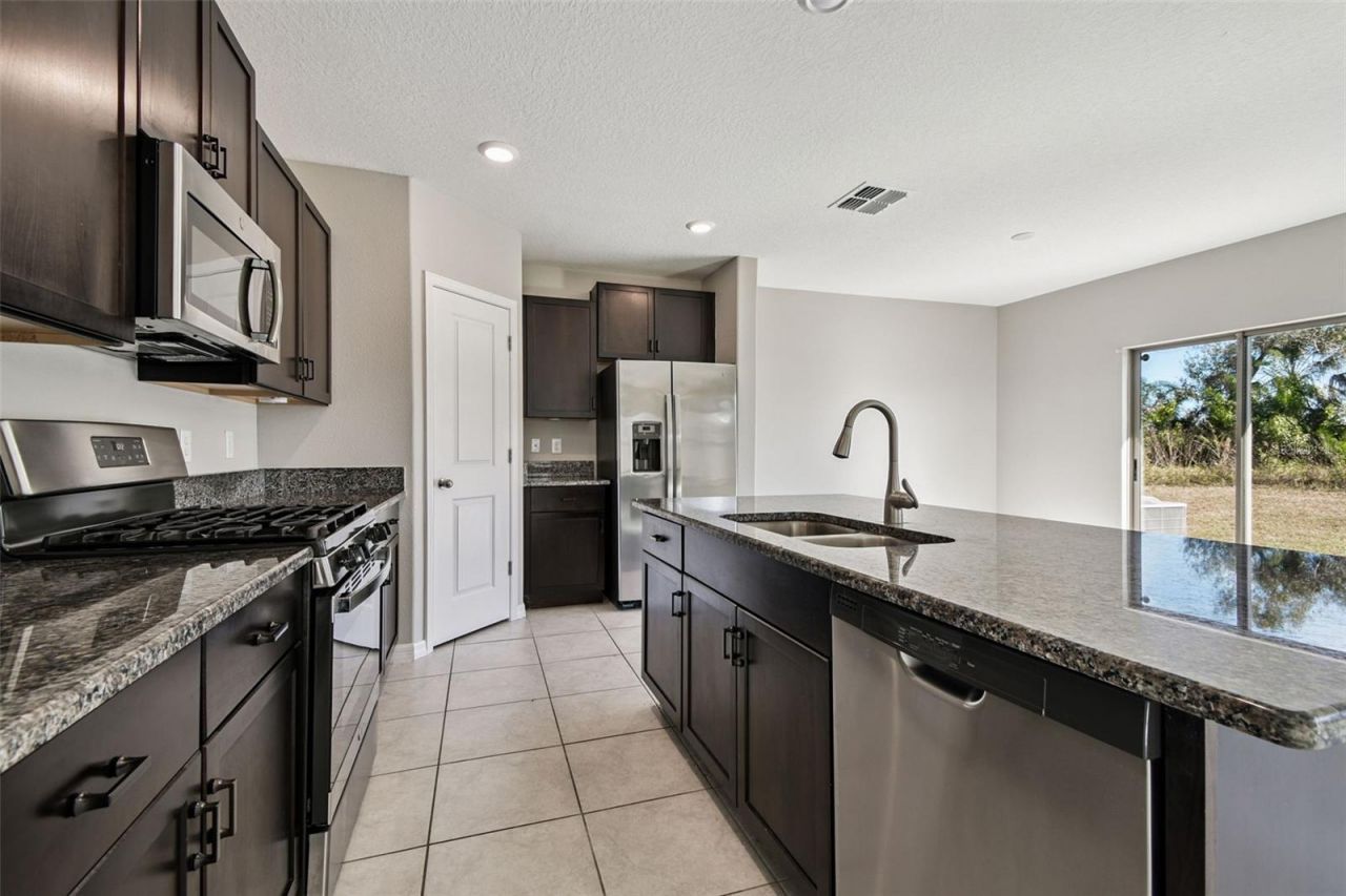 5157 White Chicory Drive, Apollo Beach, FL 33572 Photo