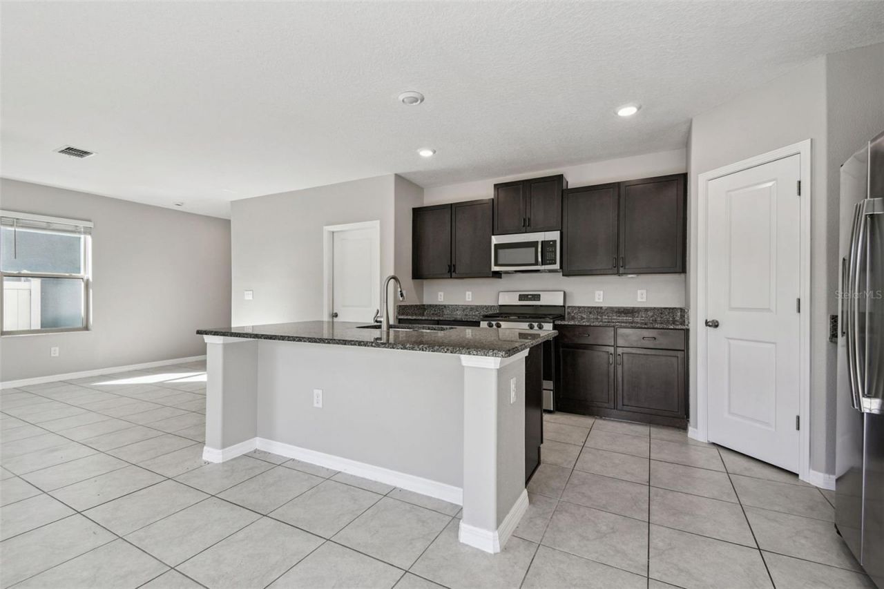 5157 White Chicory Drive, Apollo Beach, FL 33572 Photo