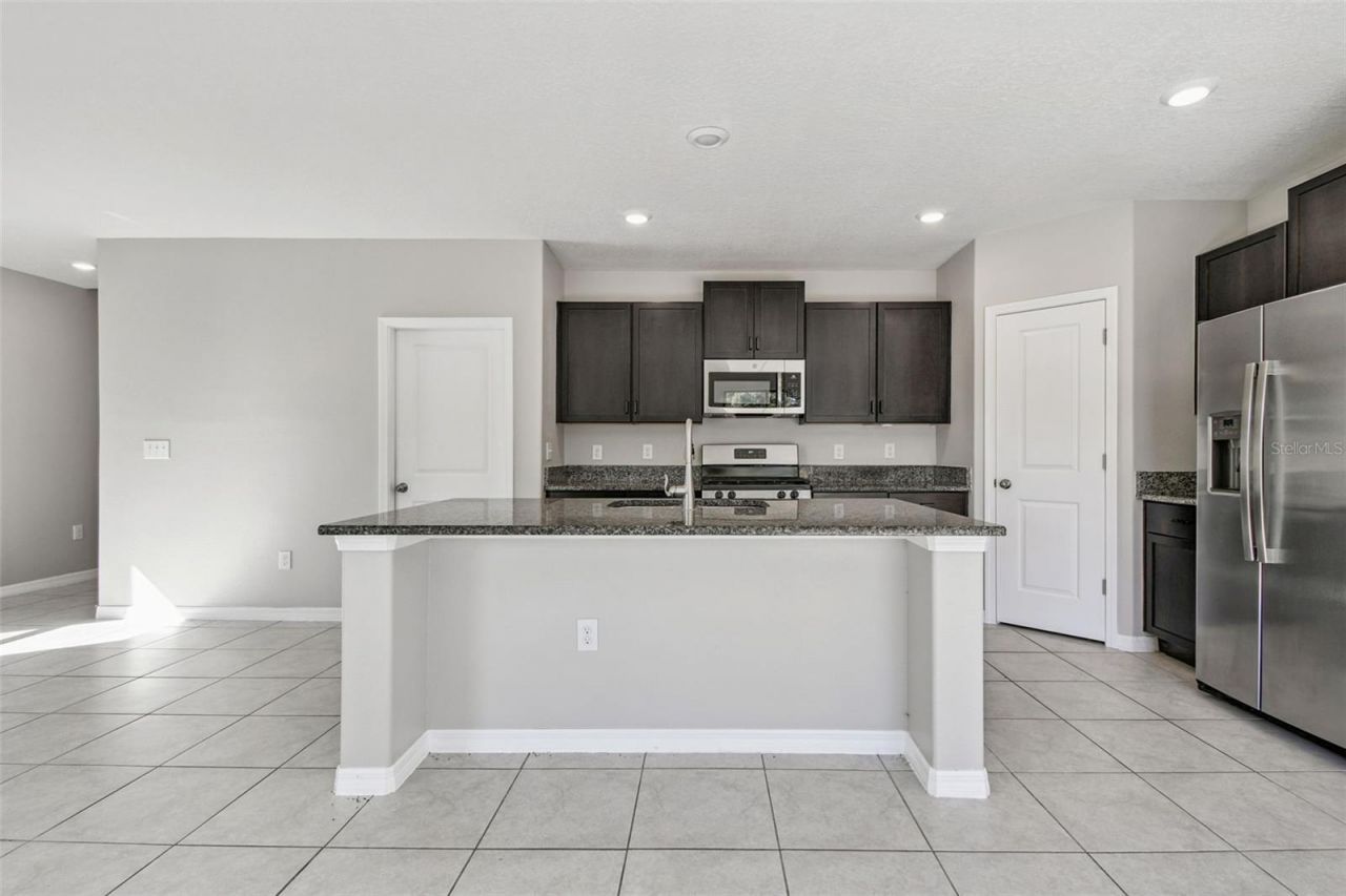 5157 White Chicory Drive, Apollo Beach, FL 33572 Photo