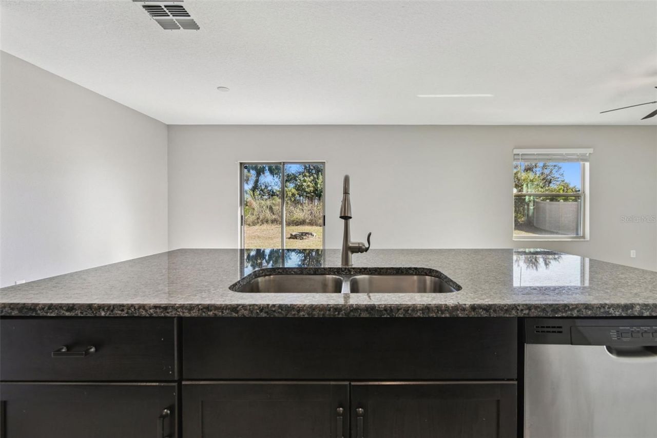 5157 White Chicory Drive, Apollo Beach, FL 33572 Photo