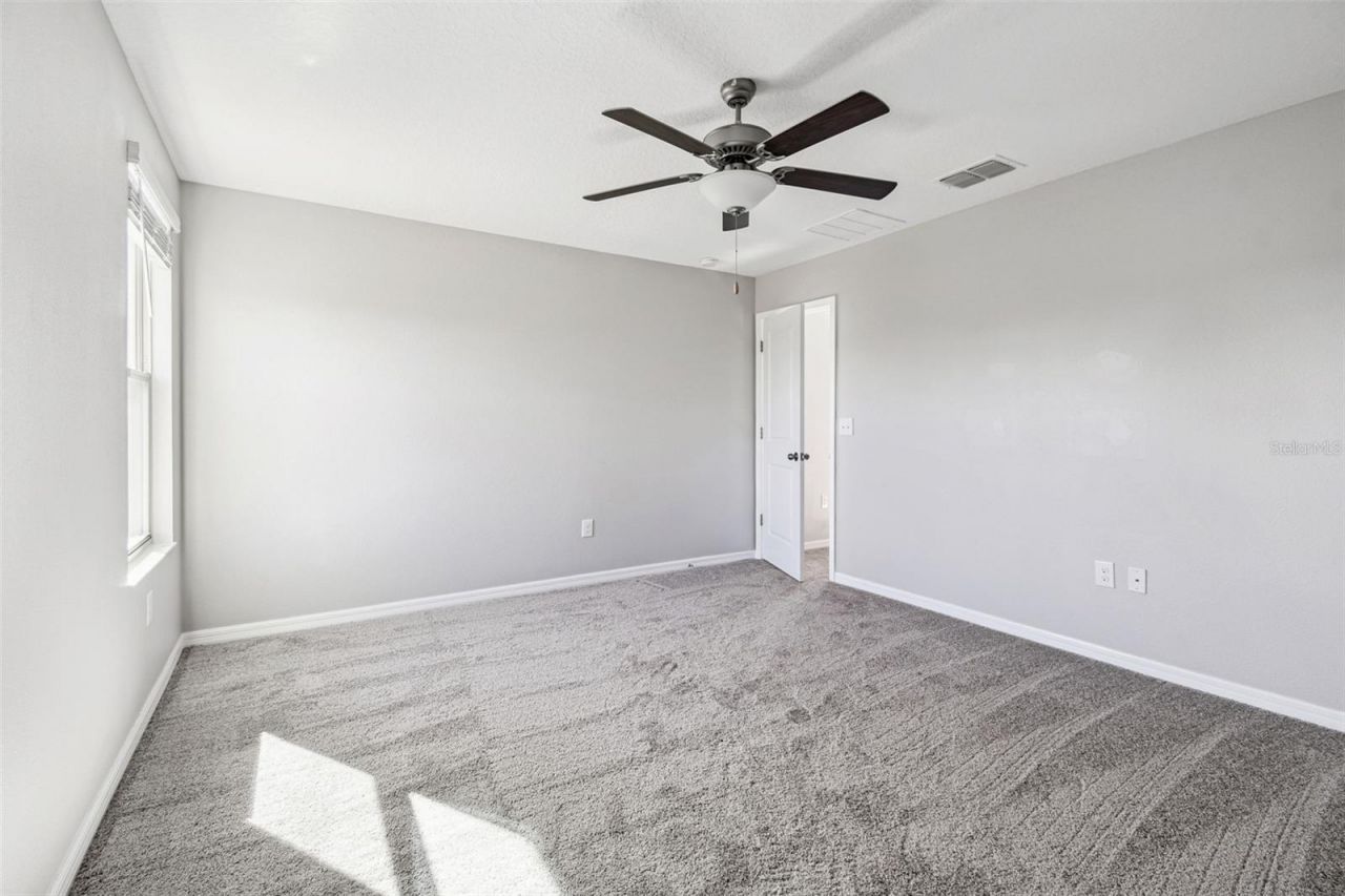 5157 White Chicory Drive, Apollo Beach, FL 33572 Photo