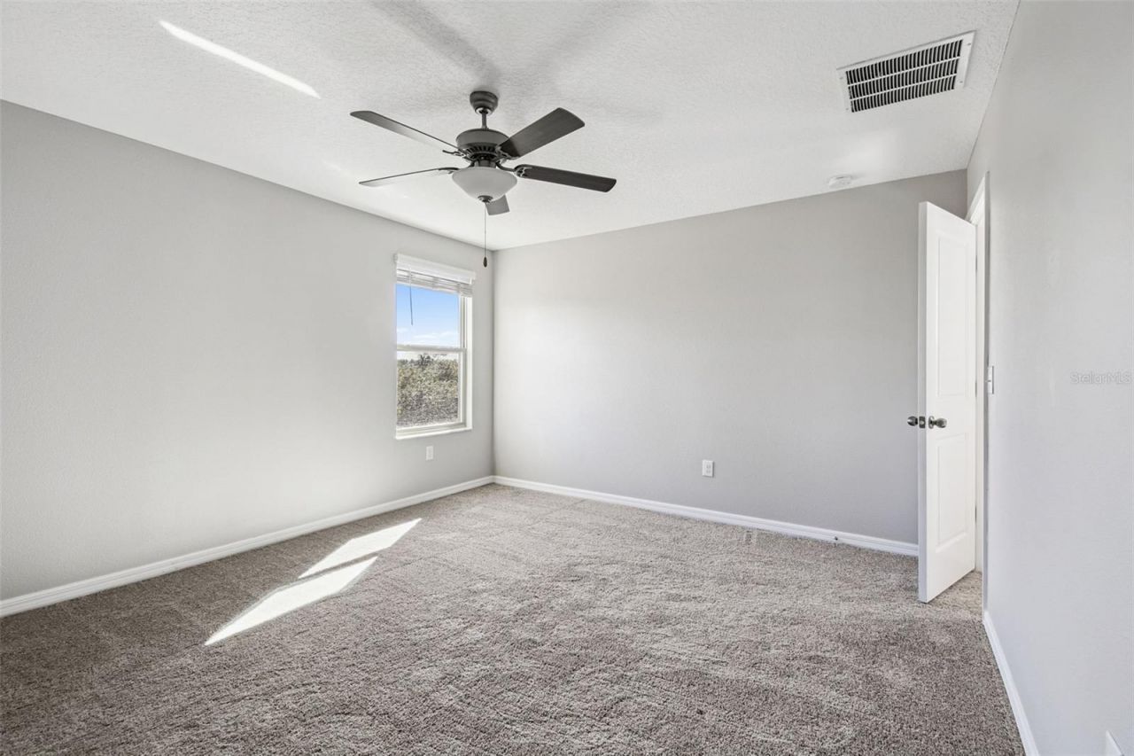 5157 White Chicory Drive, Apollo Beach, FL 33572 Photo