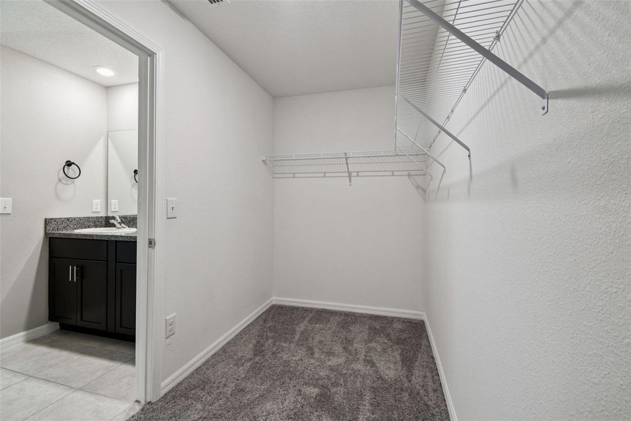 5157 White Chicory Drive, Apollo Beach, FL 33572 Photo