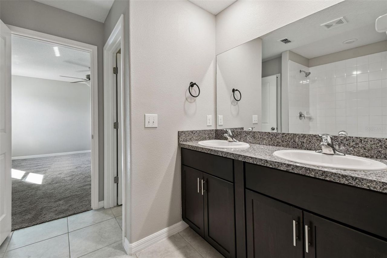 5157 White Chicory Drive, Apollo Beach, FL 33572 Photo