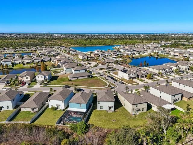 5157 White Chicory Drive, Apollo Beach, FL 33572 Photo