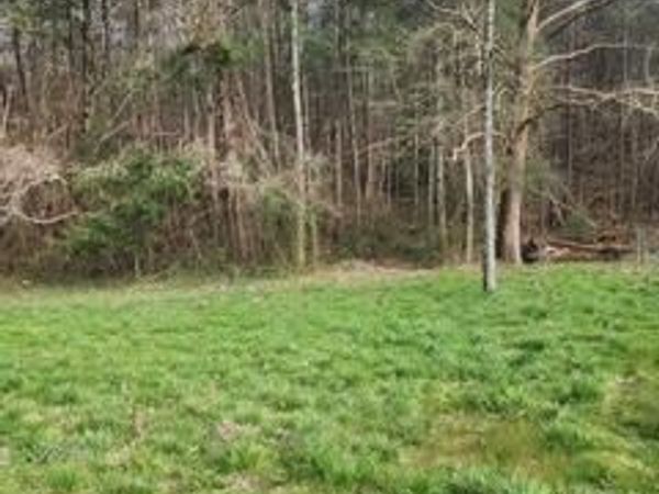 Little Elk Creek Rd, Pioneer, TN 37847