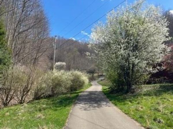 349 Miller Road, Trade, TN 37691