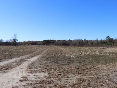0 Highway 3, Blackville, SC 29817
