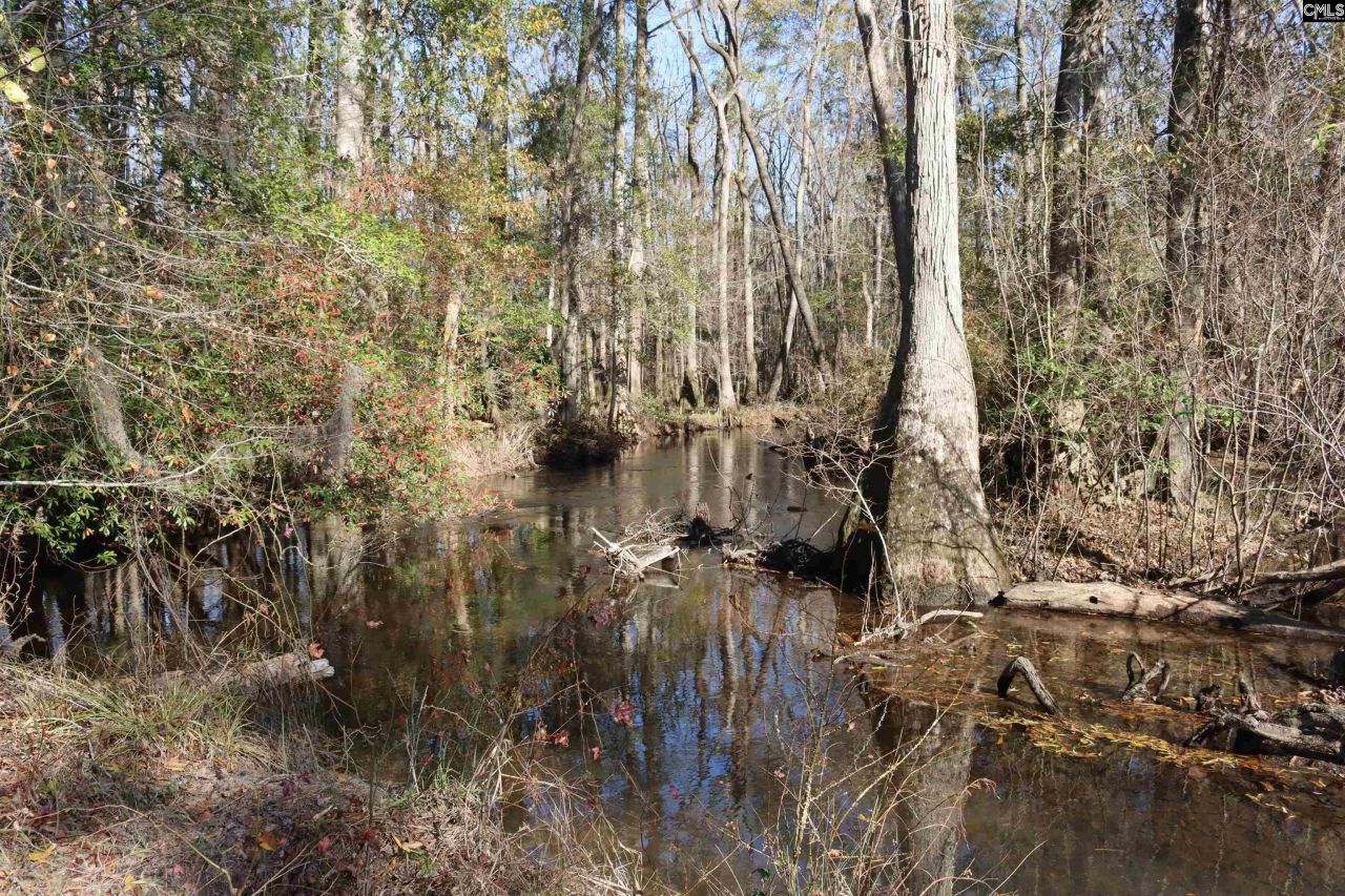 0 Highway 3 Photo 10