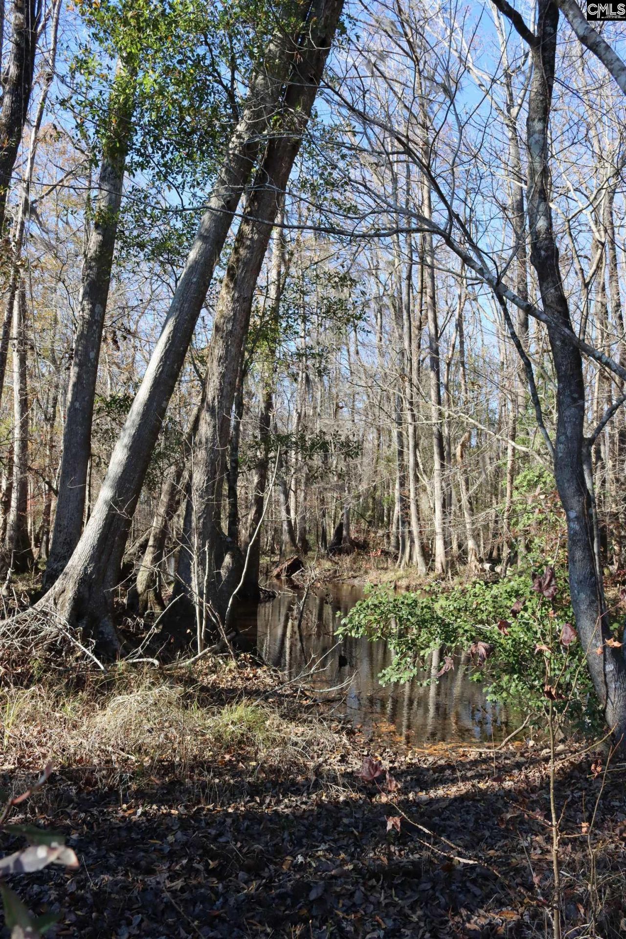 0 Highway 3 Photo 11