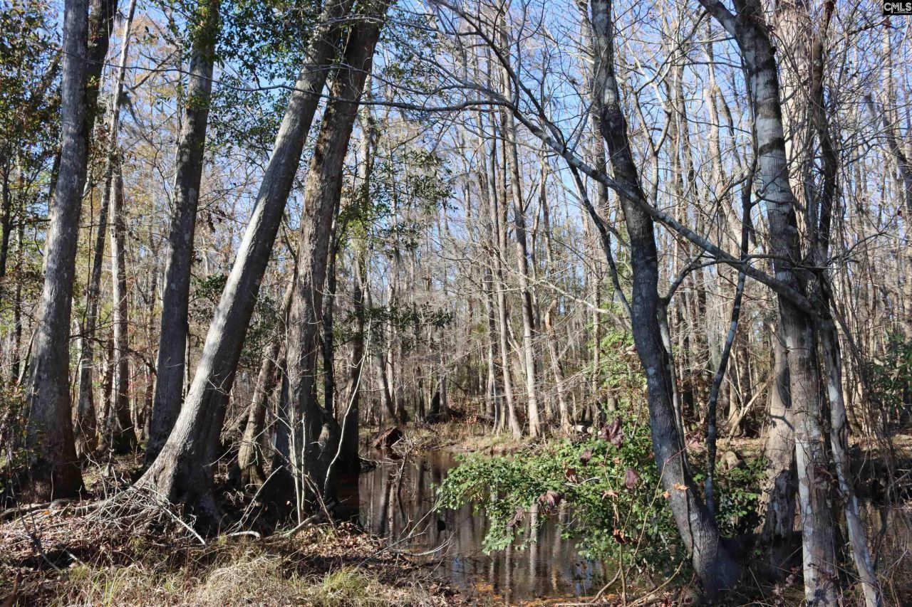 0 Highway 3 Photo 12