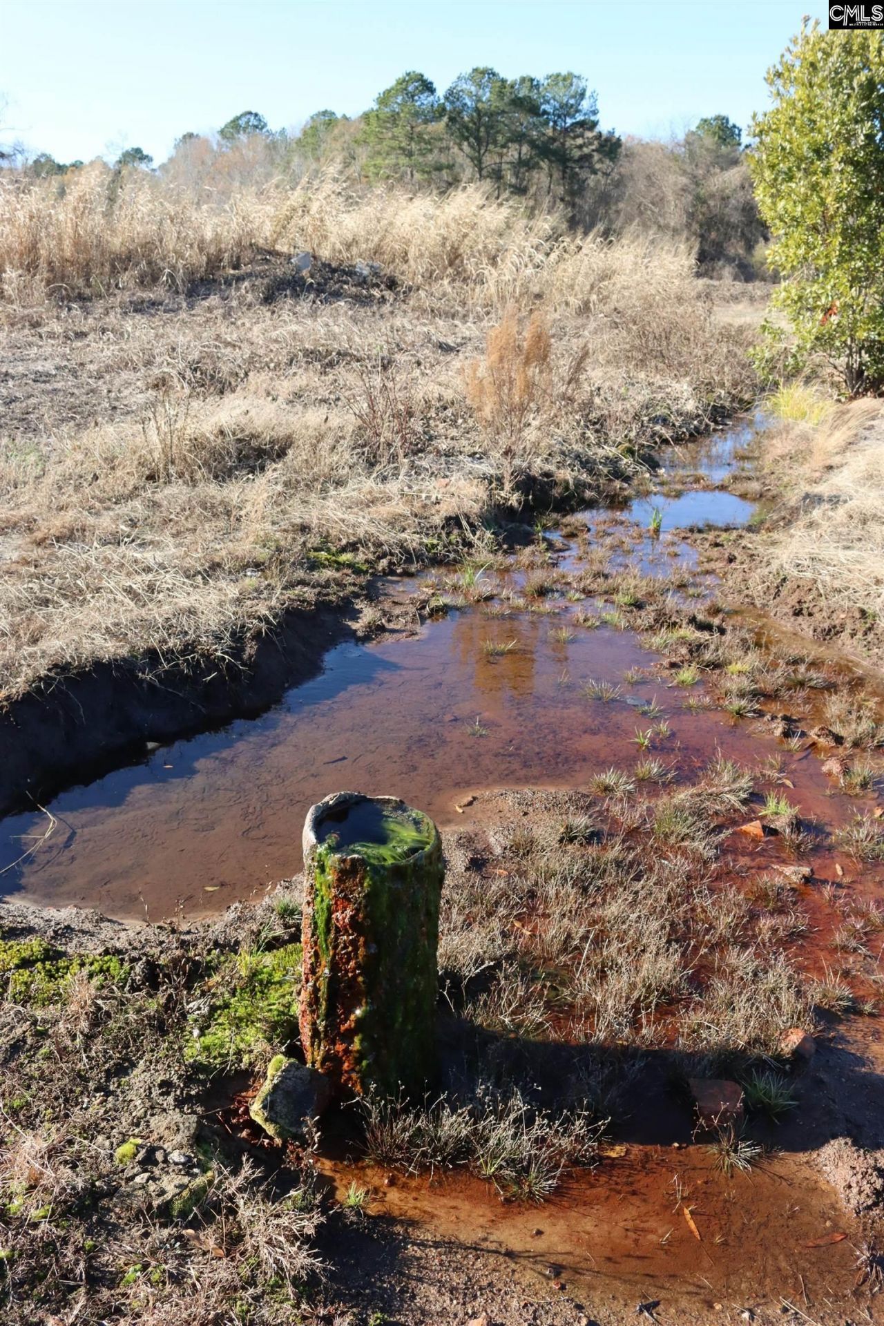 0 Highway 3 Photo 16