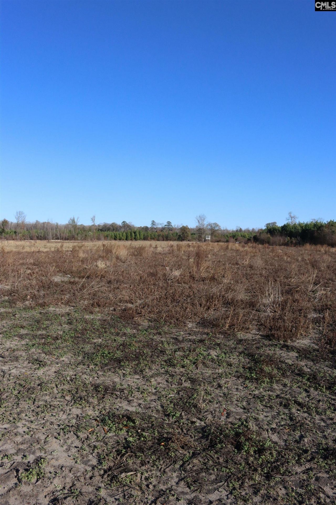 0 Highway 3 Photo 19