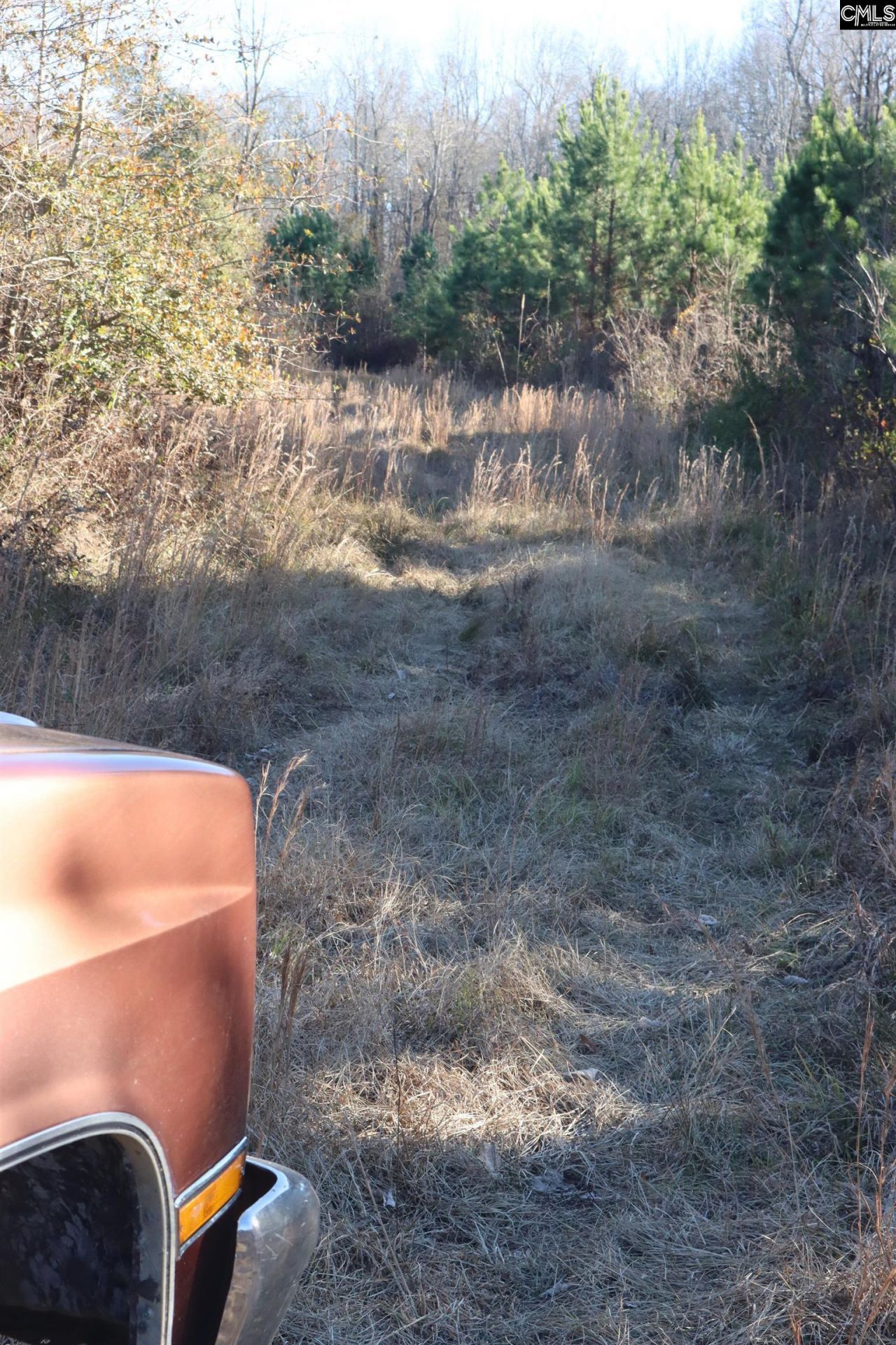 0 Highway 3 Photo 21