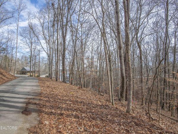 00 Sunset Court, Spring City, TN 37381