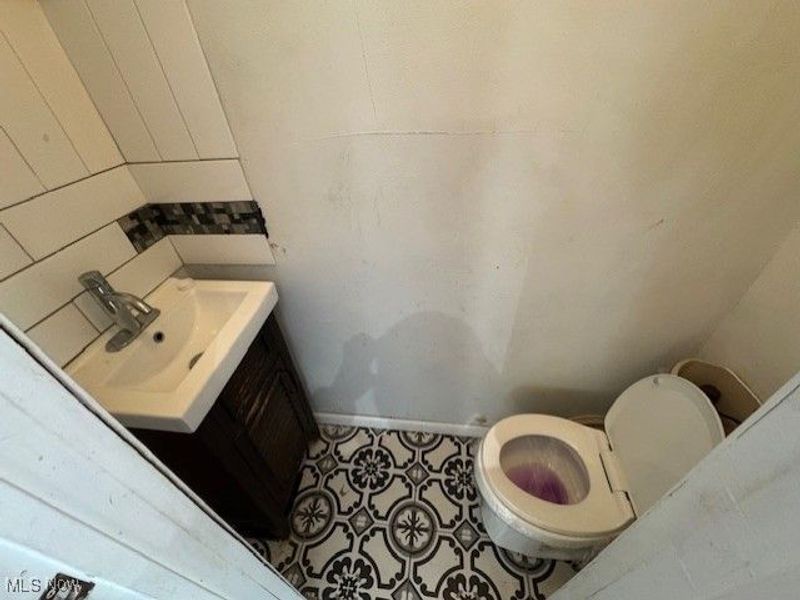 888 Roanoke Road, Cleveland, OH 44121 Photo 15