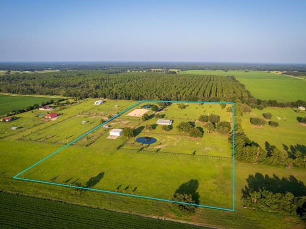 3650 SE 165TH AVENUE, MORRISTON, FL 32668