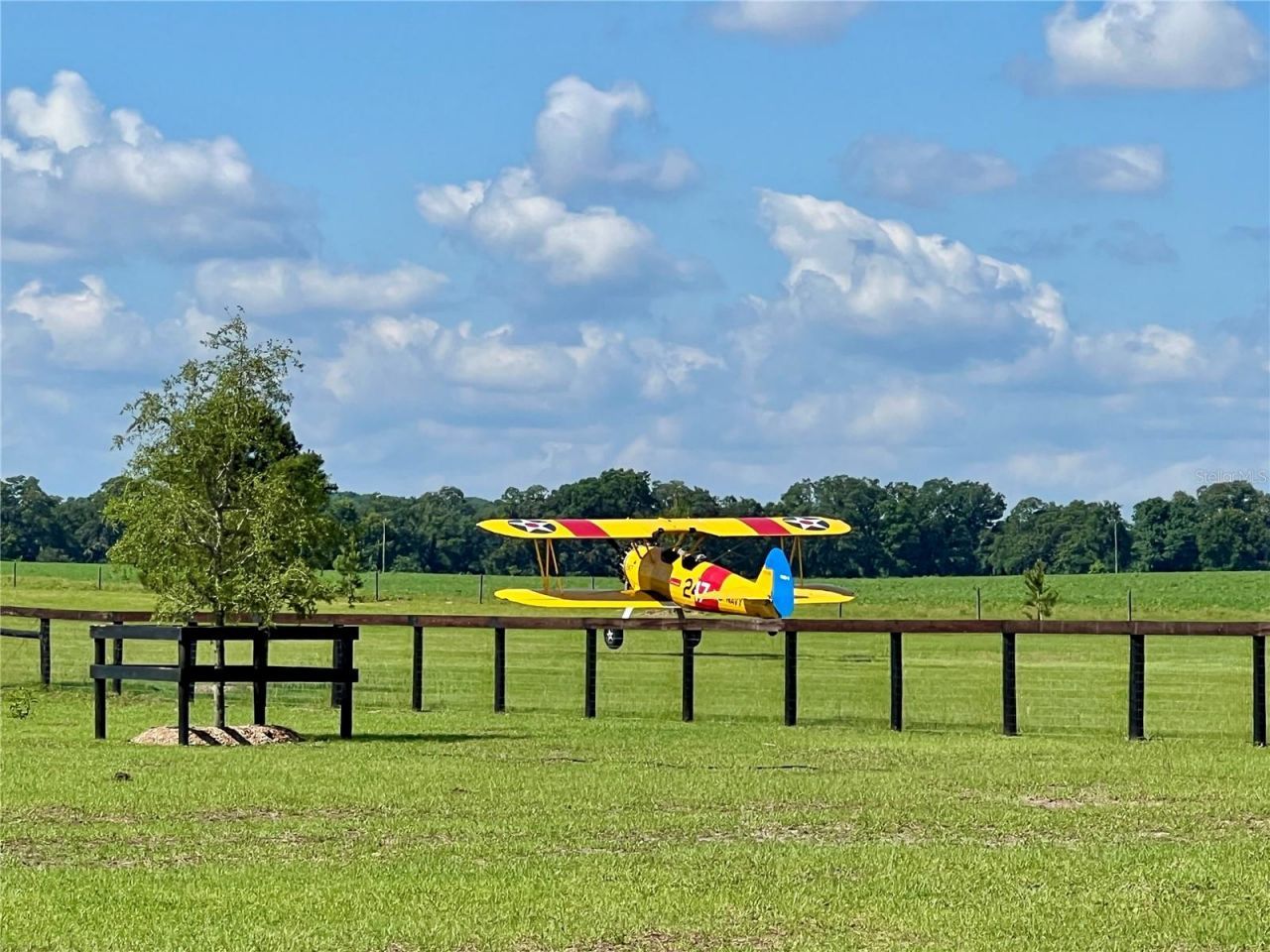 3650 SE 165th Avenue, Morriston, FL 32668 Photo