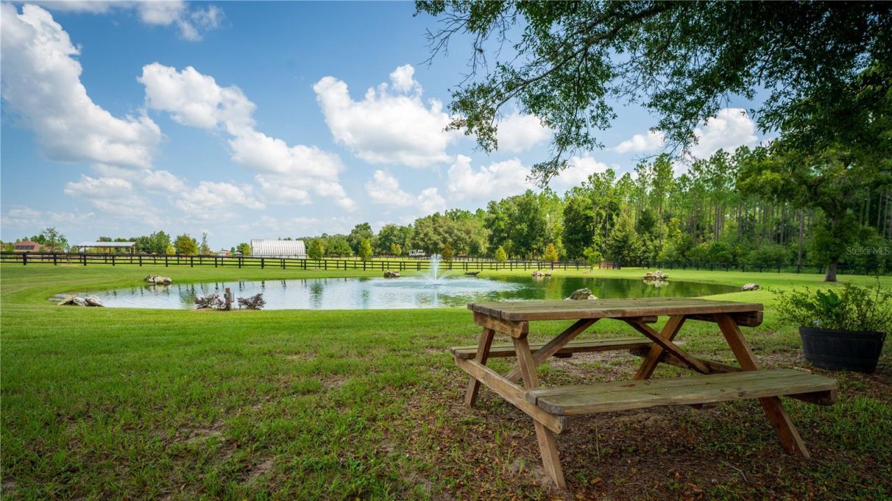 3650 SE 165th Avenue, Morriston, FL 32668 Photo