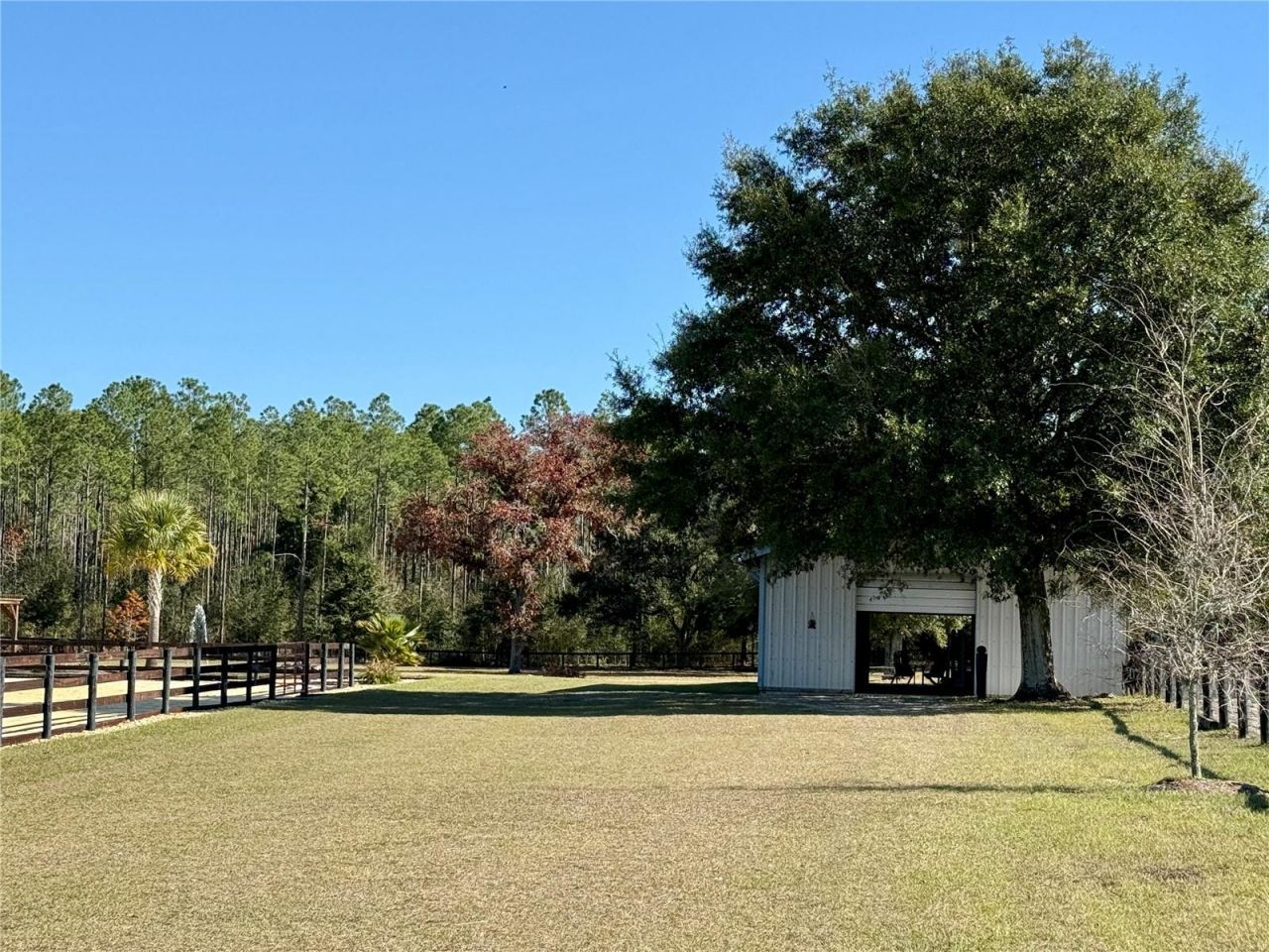 3650 SE 165th Avenue, Morriston, FL 32668 Photo