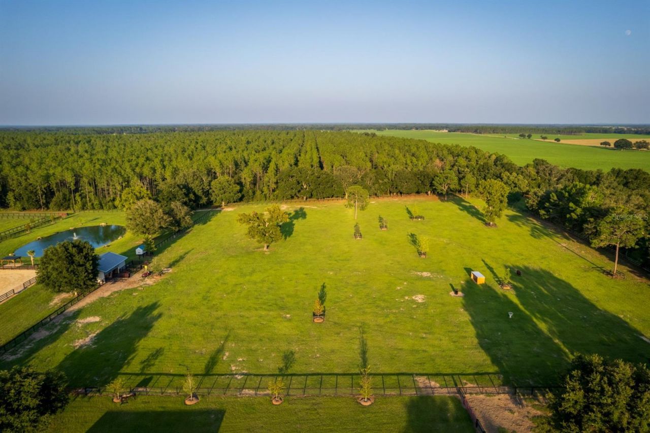 3650 SE 165th Avenue, Morriston, FL 32668 Photo