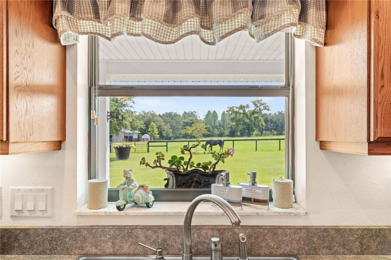 3650 SE 165th Avenue, Morriston, FL 32668 Photo