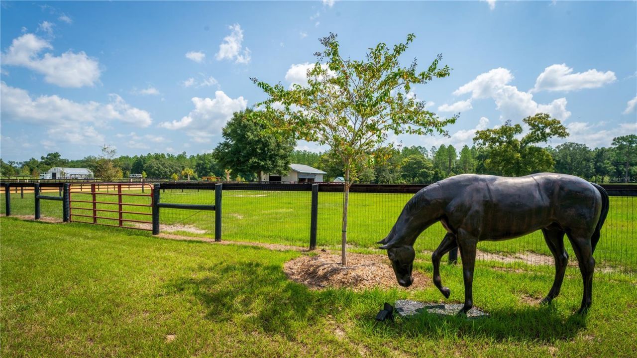 3650 SE 165th Avenue, Morriston, FL 32668 Photo