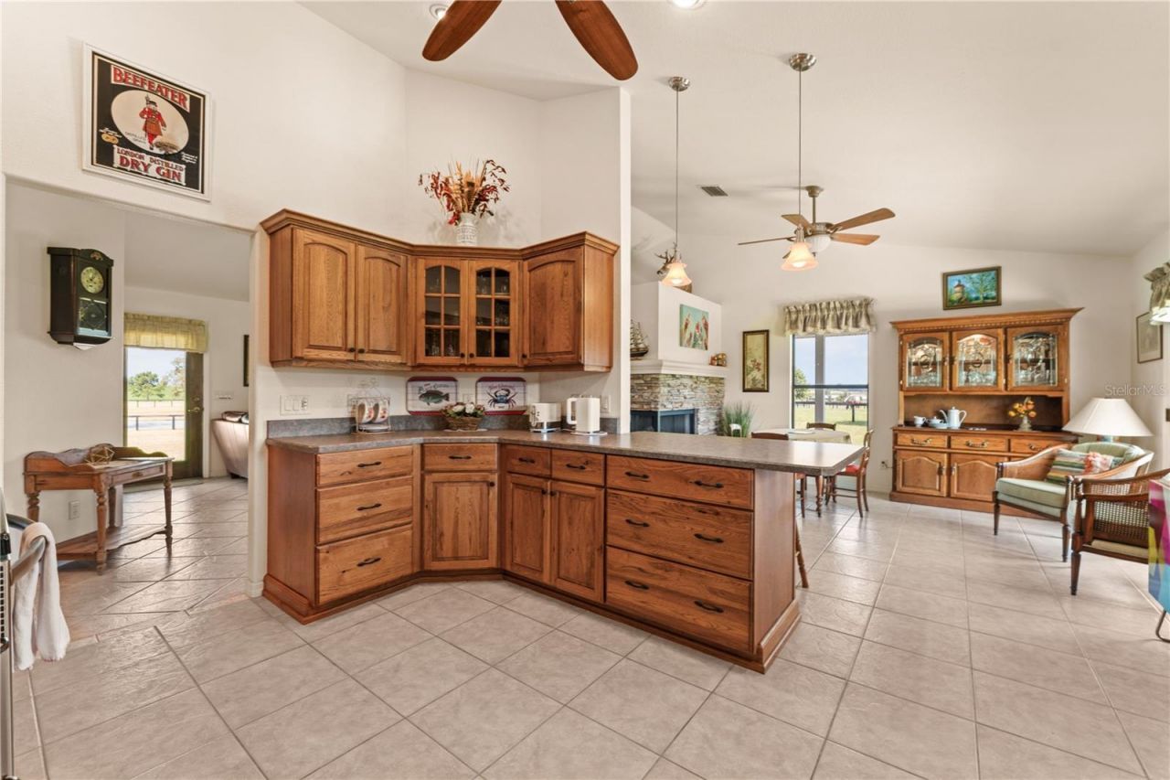 3650 SE 165th Avenue, Morriston, FL 32668 Photo