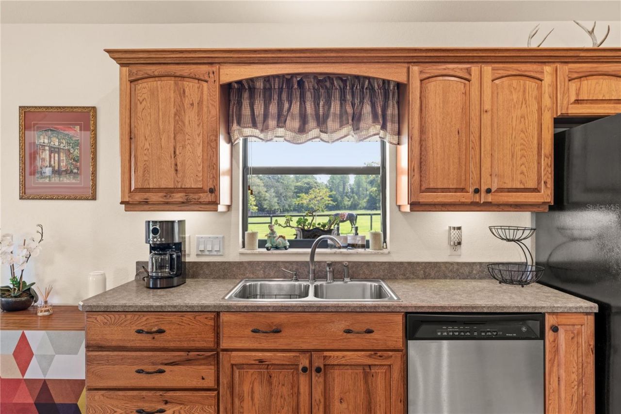 3650 SE 165th Avenue, Morriston, FL 32668 Photo