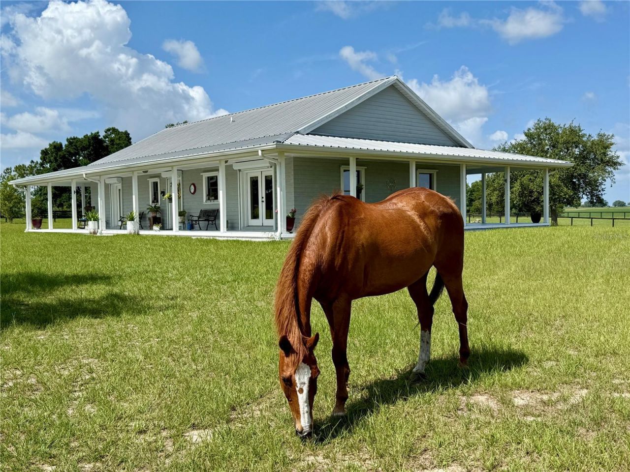 3650 SE 165th Avenue, Morriston, FL 32668 Photo