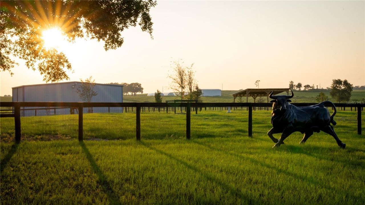 3650 SE 165th Avenue, Morriston, FL 32668 Photo