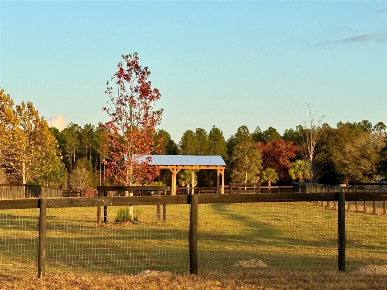 3650 SE 165th Avenue, Morriston, FL 32668 Photo