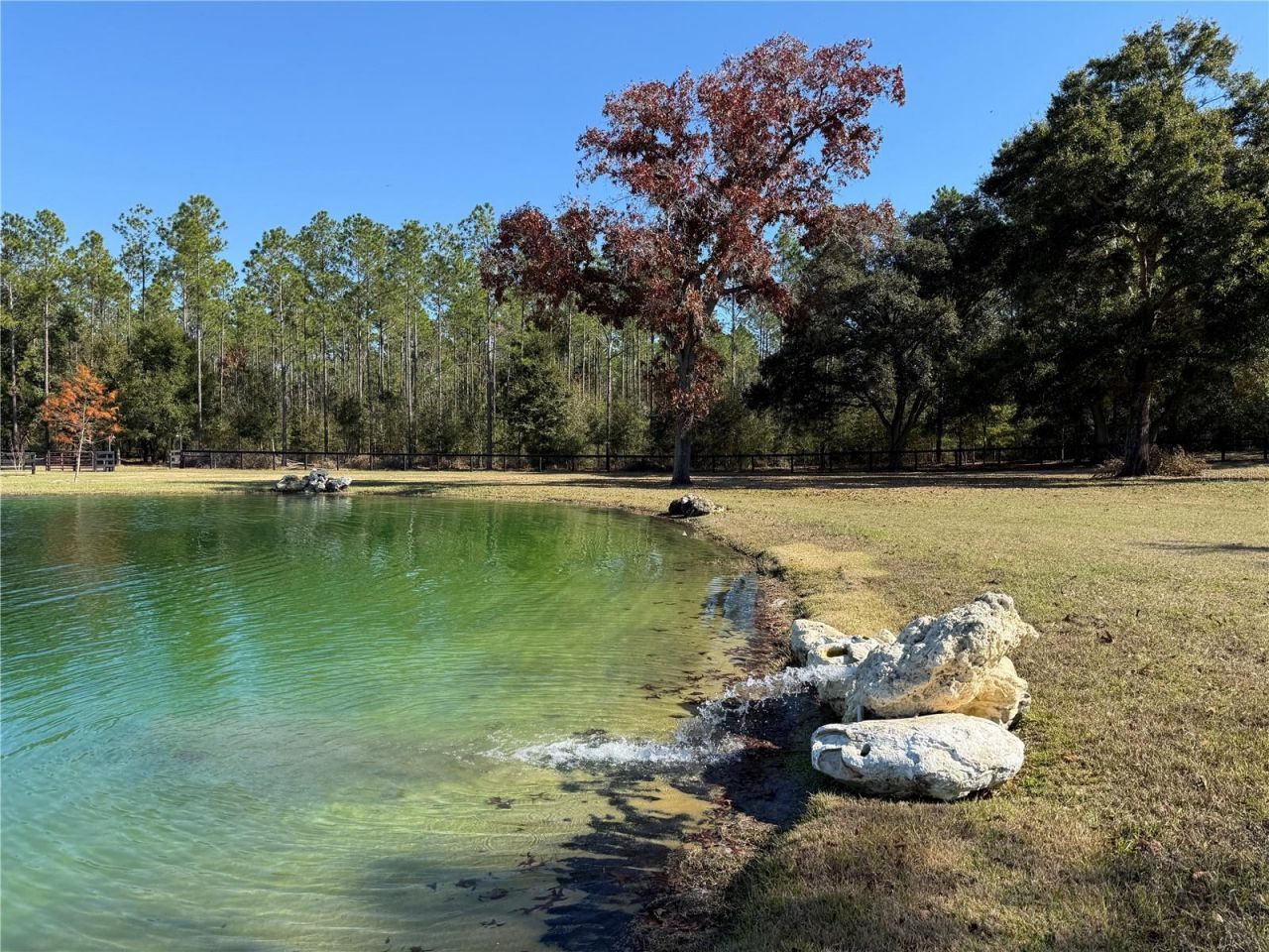 3650 SE 165th Avenue, Morriston, FL 32668 Photo