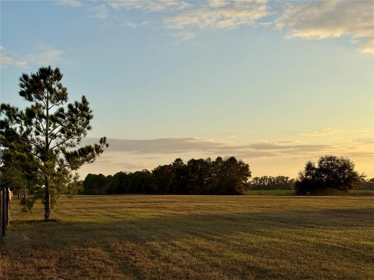 3650 SE 165th Avenue, Morriston, FL 32668 Photo