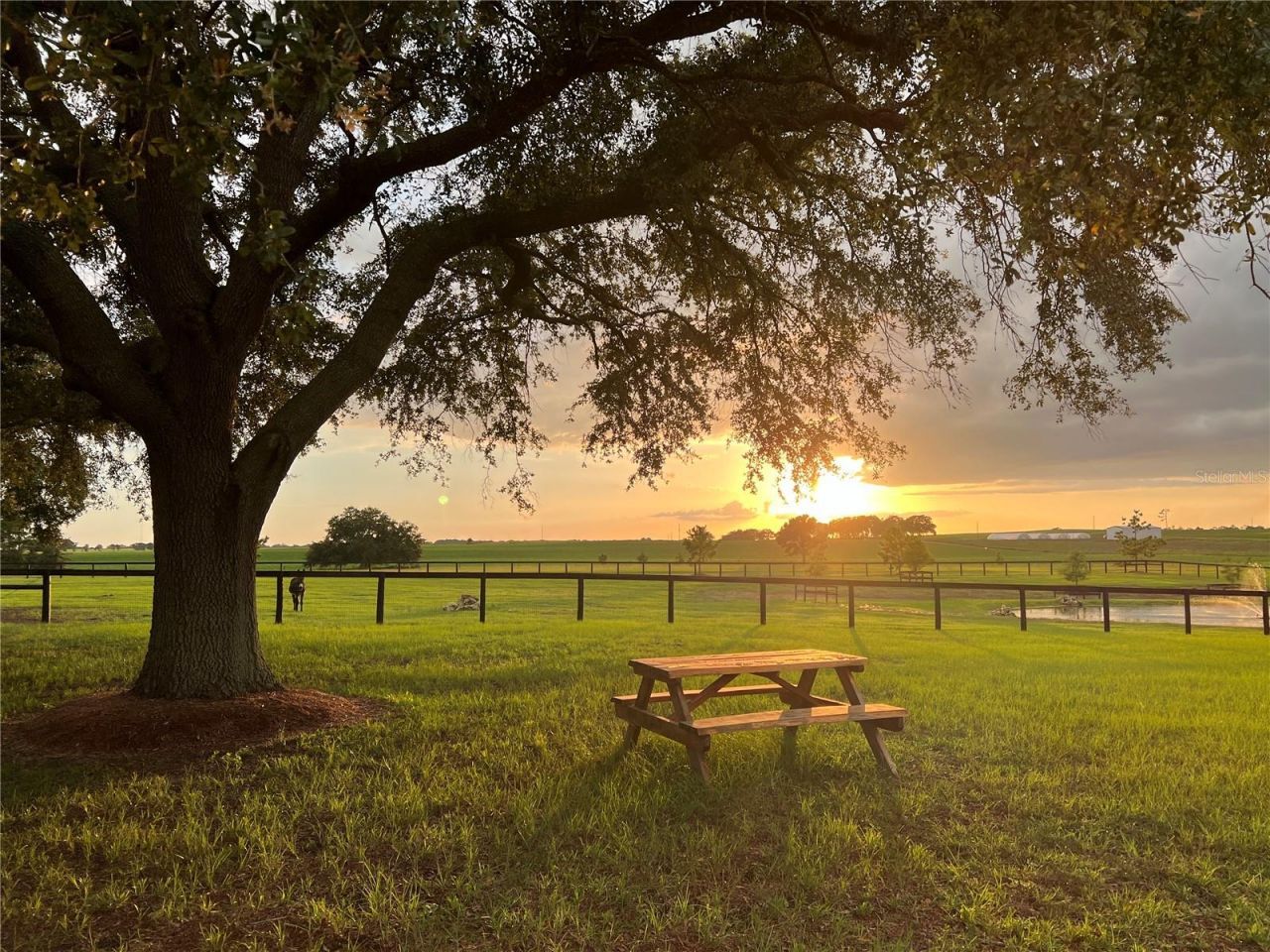 3650 SE 165th Avenue, Morriston, FL 32668 Photo