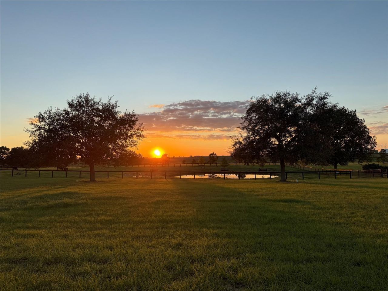 3650 SE 165th Avenue, Morriston, FL 32668 Photo