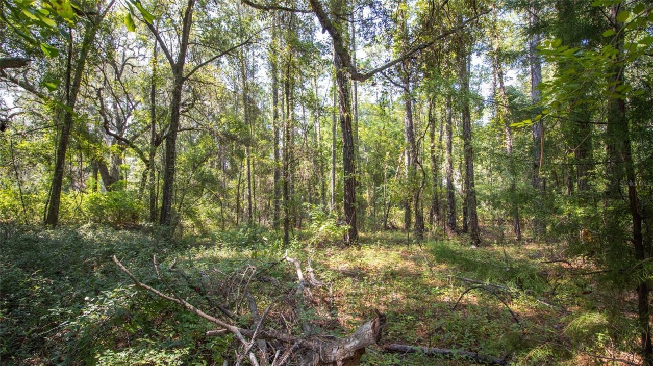 101 Ashley Lake Drive, Melrose, FL 32666 Photo