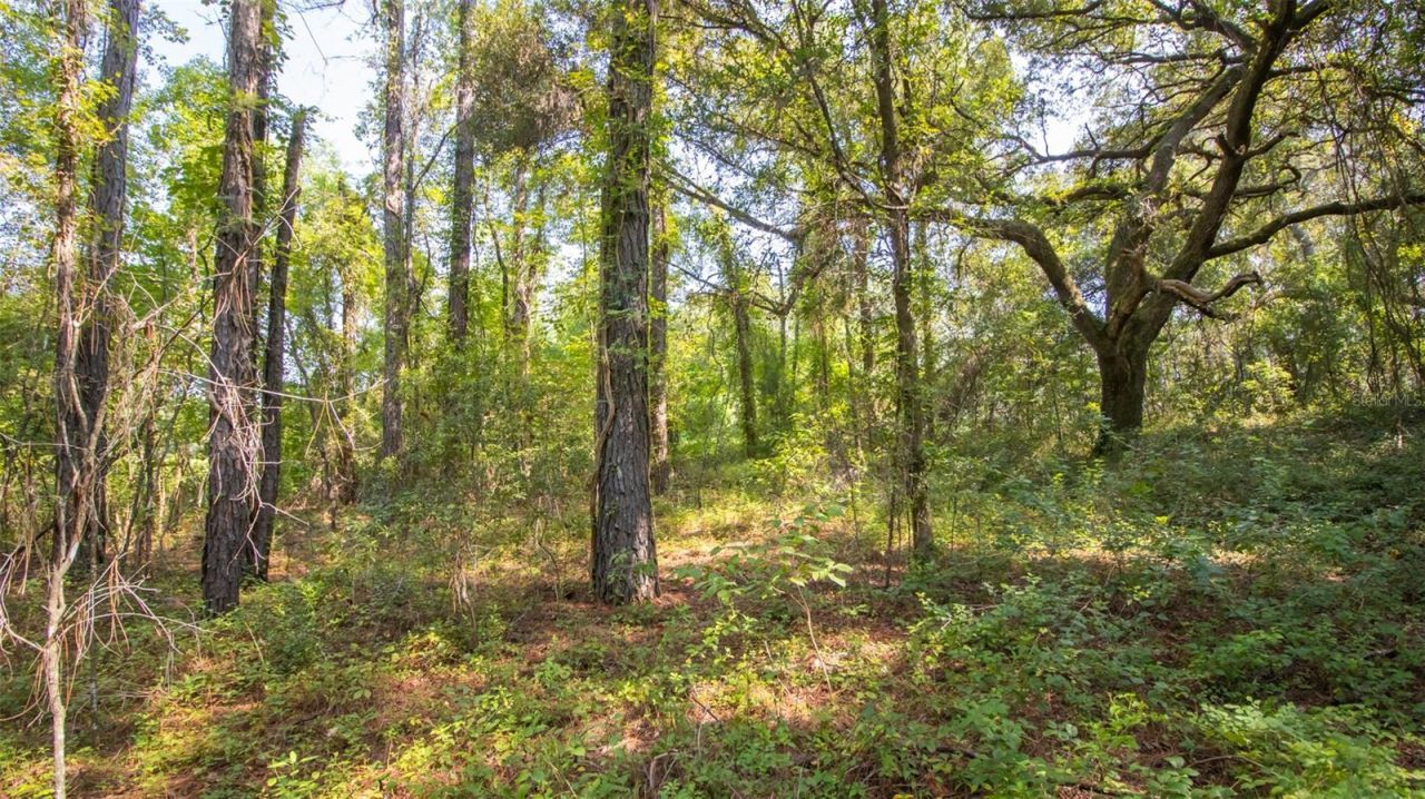 101 Ashley Lake Drive, Melrose, FL 32666 Photo