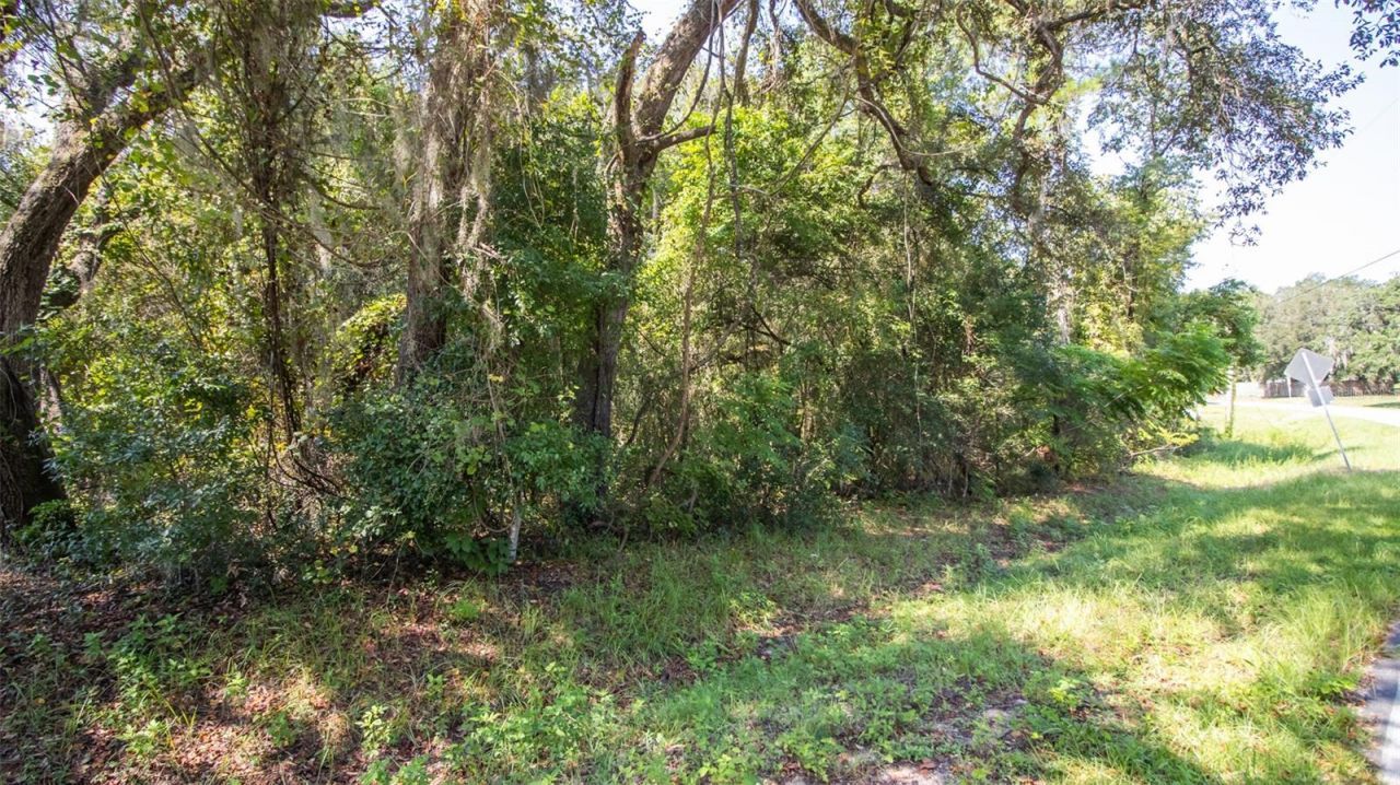 101 Ashley Lake Drive, Melrose, FL 32666 Photo