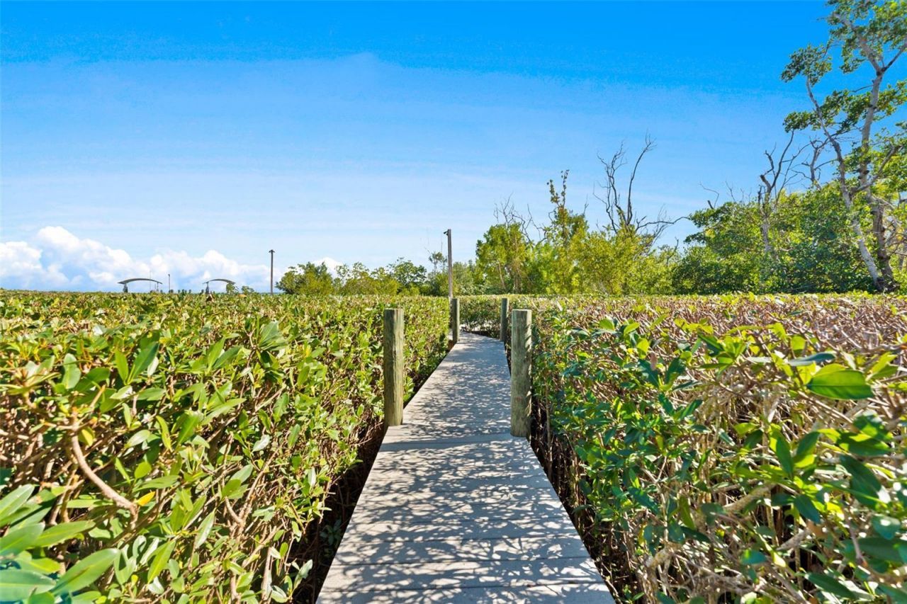 4150 Snail Island Court, Boca Grande, FL 33921 Photo