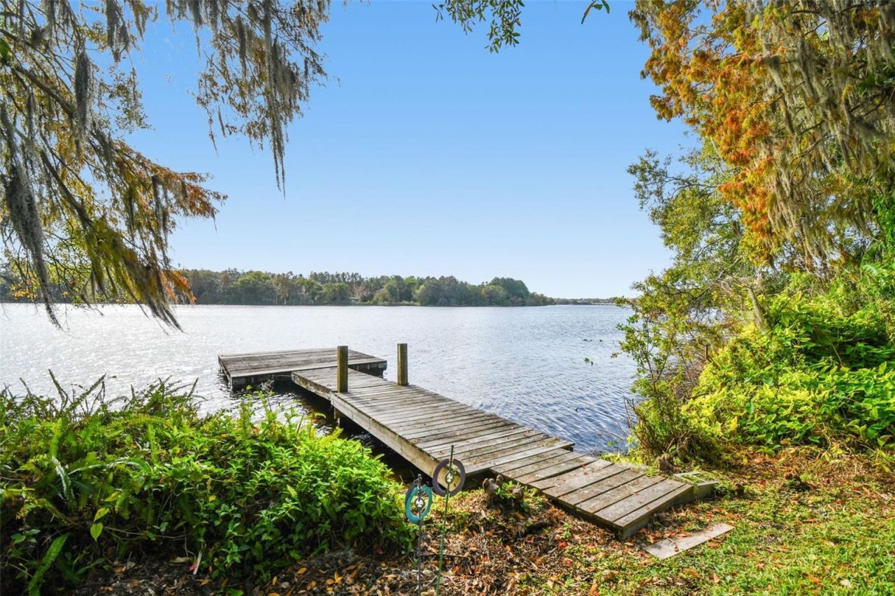 4601 River Hills Drive, Tampa, FL 33617 Photo