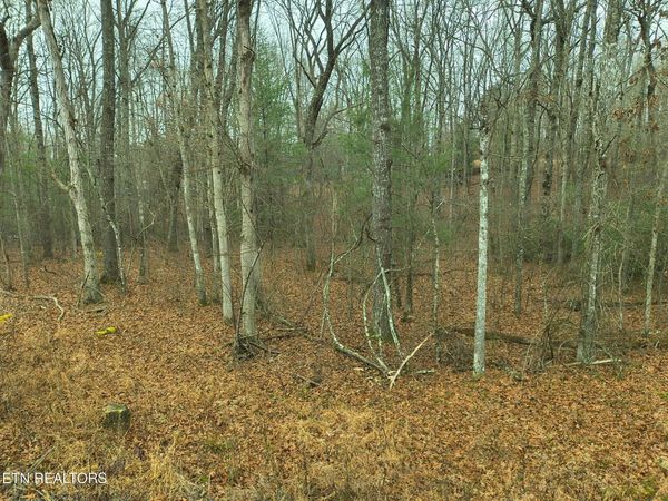 526 & 528 Tsala Drive, Crossville, TN 38572